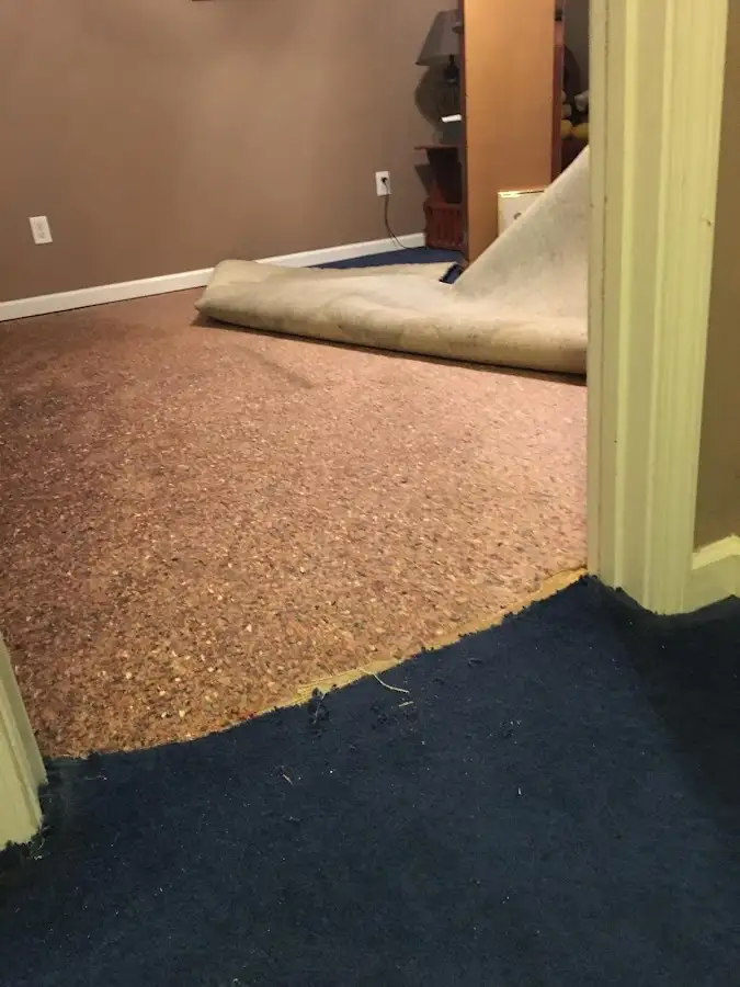 Carpet pad removal revealing water damage during Water Mitigation Services in Marshall